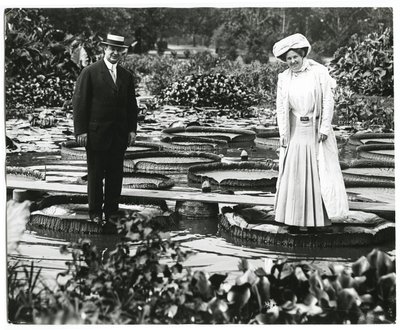 Tower Grove Park Lily Pond. Man and Woman Standing on Lily Pads by Charles Clement Holt